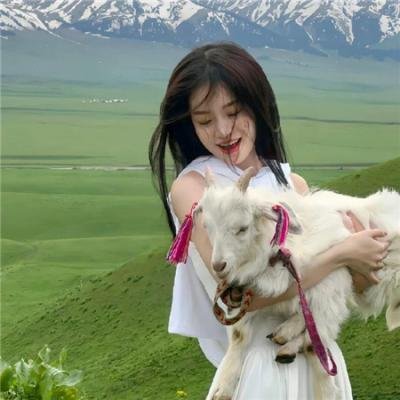 48小时追杀令